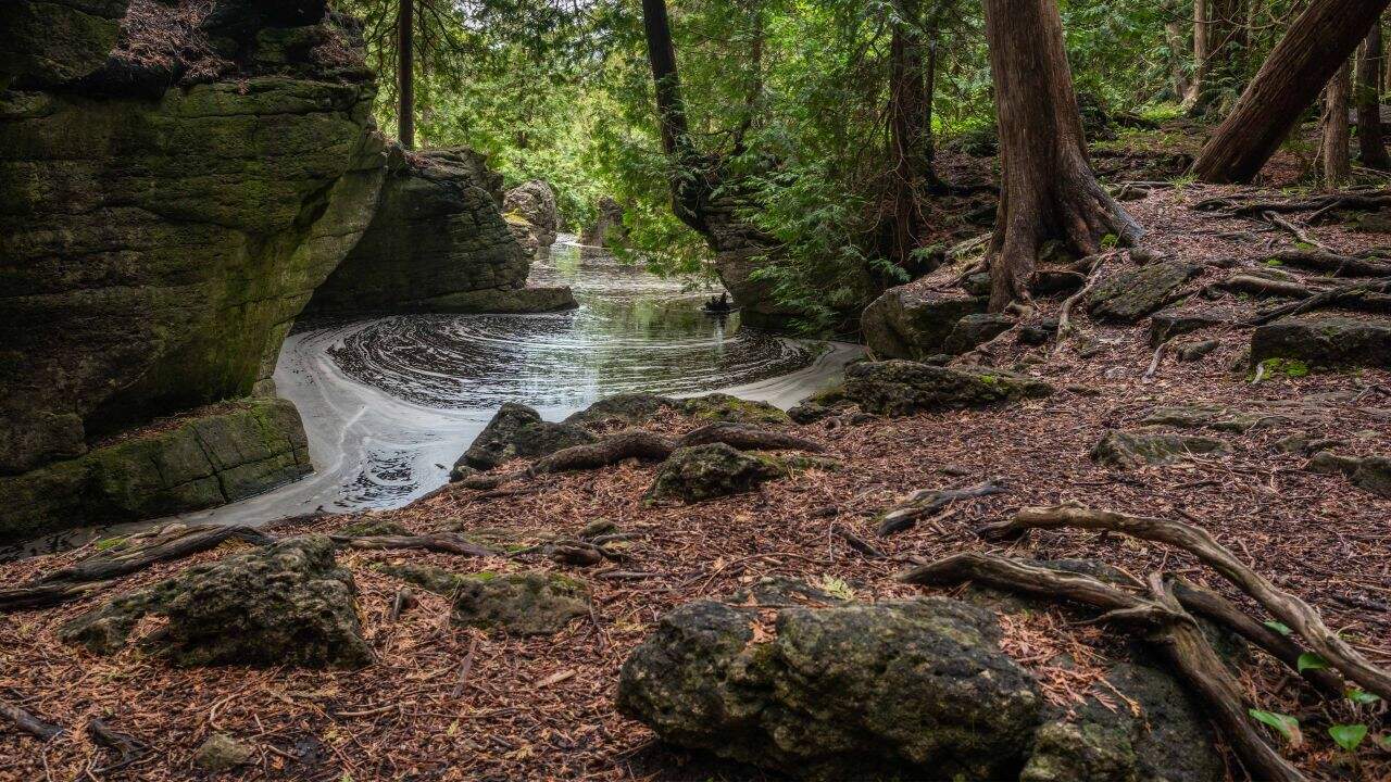 Hiking At Rockwood Conservation Area