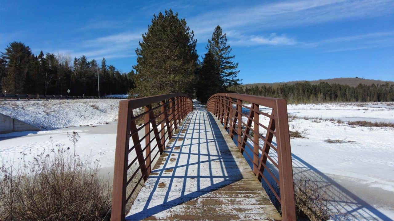 Spruce Bog Boardwalk Hiking Trail In Algonquin Park