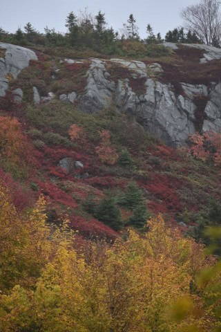 With benches, picnic areas, and smooth pathways, the Quidi Vidi Lake Loop is one of the best family-friendly hikes near St. John’s, NL, inviting visitors of all ages to slow down and enjoy nature at an easy pace.