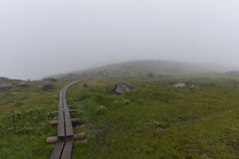 Explore Sugarloaf Path on the East Coast Trail near St. John’s, NL. Rugged cliffs, Atlantic Ocean views, historical coast defences, and Minke whale sightings make this trail perfect for adventure seekers and slow travel enthusiasts.