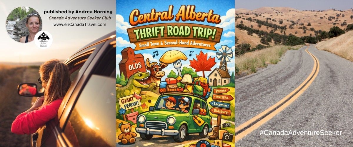Central Alberta Thrift Road Trip!