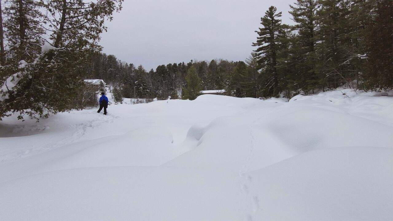 A Frozen Wilsons Falls In Winter