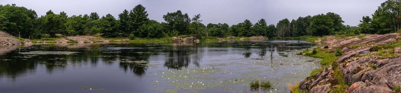 Kashee Barrens Conservation Reserve