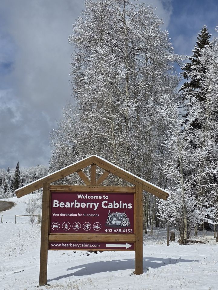A winter view of the Bearberry Cabins sign near Sundre, Alberta, Canada, surrounded by snow-covered trees.
