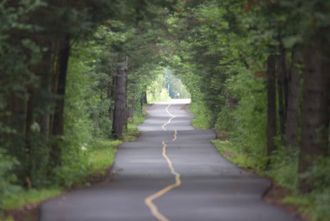 A paved section of Quebec’s Route Verte highlights the Trans Canada Trail’s accessible cycling routes, offering smooth, well-maintained pathways that connect communities and landscapes across one of Canada’s most bike-friendly regions.