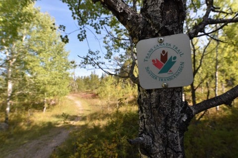 A Trans Canada Trail marker identifies the route along a forested section, helping hikers and cyclists navigate Canada’s multi-use trail network spanning provinces, territories, and connected communities nationwide.