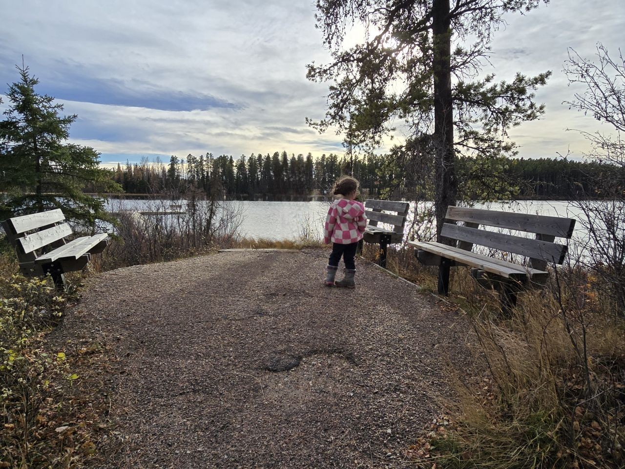 Empty lakeside trail with bench in Clearwater County Alberta during fall travel season