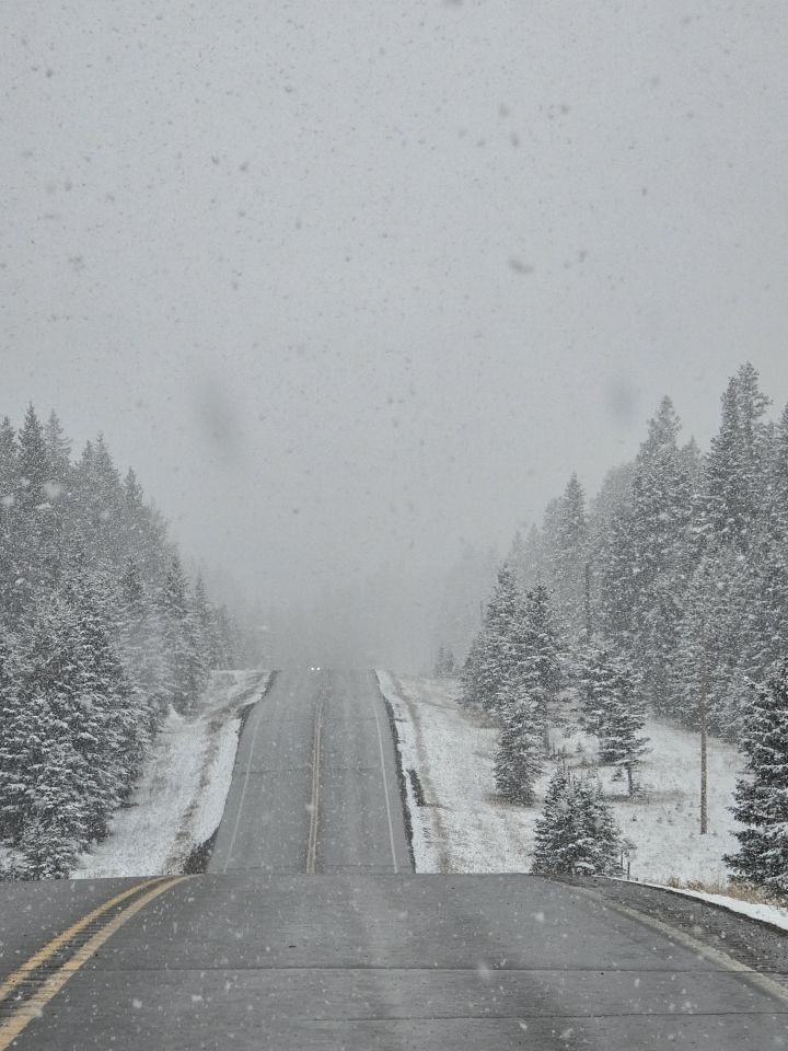 Driving through a spring snowstorm on a highway in Clearwater County Alberta foothills