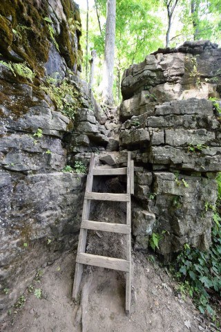 Wooden ladder helping hikers climb limestone cliffs along the Bruce Trail on Ontario’s Niagara Escarpment, showing the rugged terrain and steep elevation changes encountered on sections of Canada’s longest marked hiking trail.