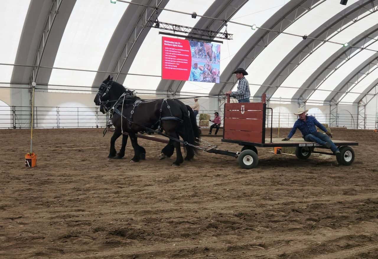 Rodeo events are popular are both the Calgary Stampede as well as the Houston Livestock Show and Rodeo