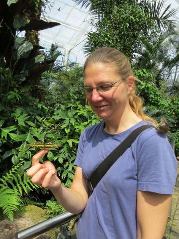 Visitor at the Butterfly Conservatory in Niagara Falls, Ontario, Canada, with a butterfly landing on their hand, showcasing one of the popular indoor nature attractions along the Niagara River Recreational Trail.