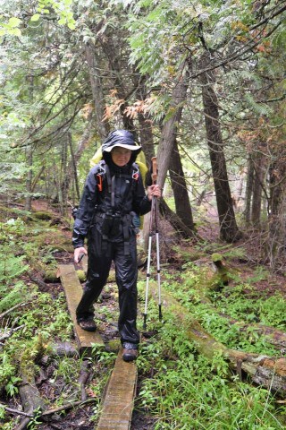 Overgrown and remote stretch of the Kabeyun Trail in Sleeping Giant Provincial Park near Thunder Bay, highlighting rugged backcountry conditions, limited maintenance, and true wilderness hiking experience in Northern Ontario.