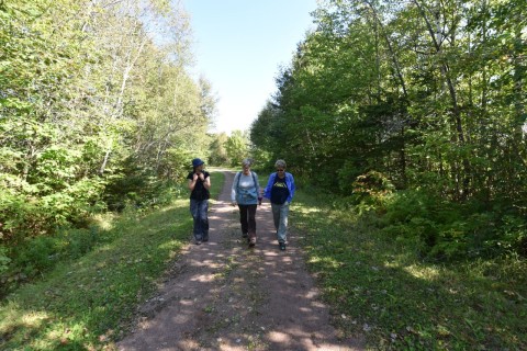 Three hikers walk a forested section of the Island Walk in Prince Edward Island, highlighting the social and reflective experience of this Canadian Camino through woodland trails and rural landscapes.