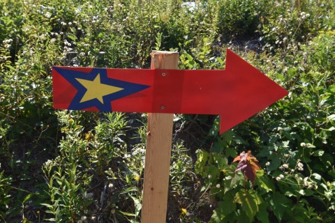 A signature Camino arrow guides hikers along the Way of Stella Maris in Nova Scotia, helping pilgrims navigate forest and coastal sections of this well-marked Canadian Camino pilgrimage trail.