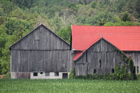 A striking red barn along the pilgrimage route to Martyr’s Shrine in Ontario reflects the region’s rural heritage, as hikers pass farmland and quiet countryside between Barrie and Midland.