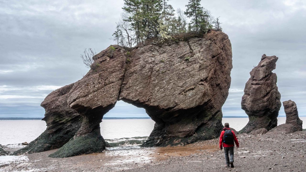 The ocean floor at Hopewell Rocks Provincial Park