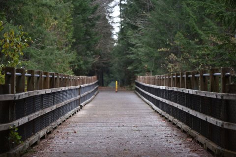 A wooden trestle bridge on Vancouver Island’s Cowichan Valley Trail shows the region’s mix of forested corridors and historic rail infrastructure along the Trans Canada Trail cycling network.