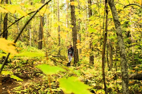 Girl standing in forest during fall