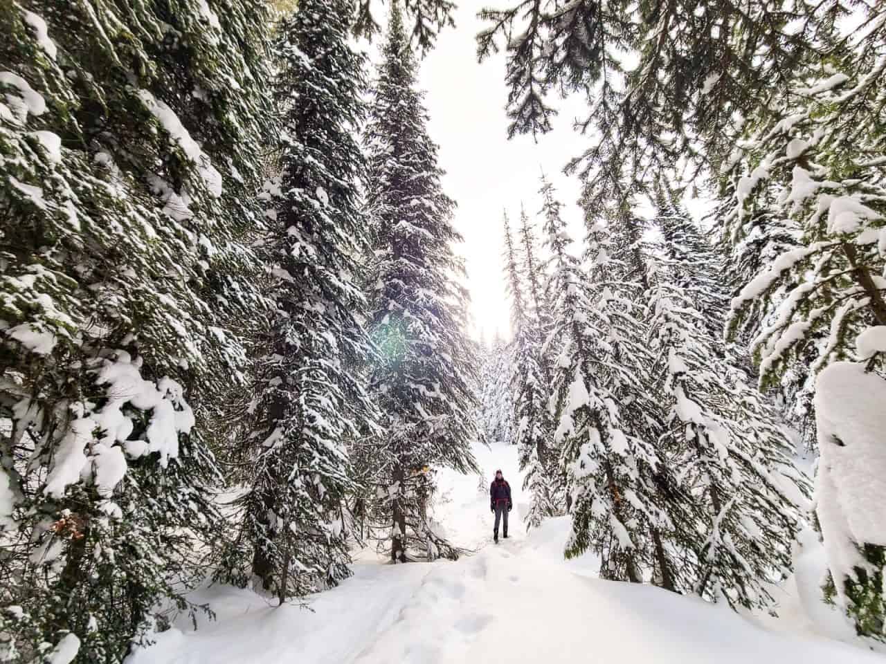 Girl snowshoeing in Vernon BC at Sovereign Lake Nordic Club