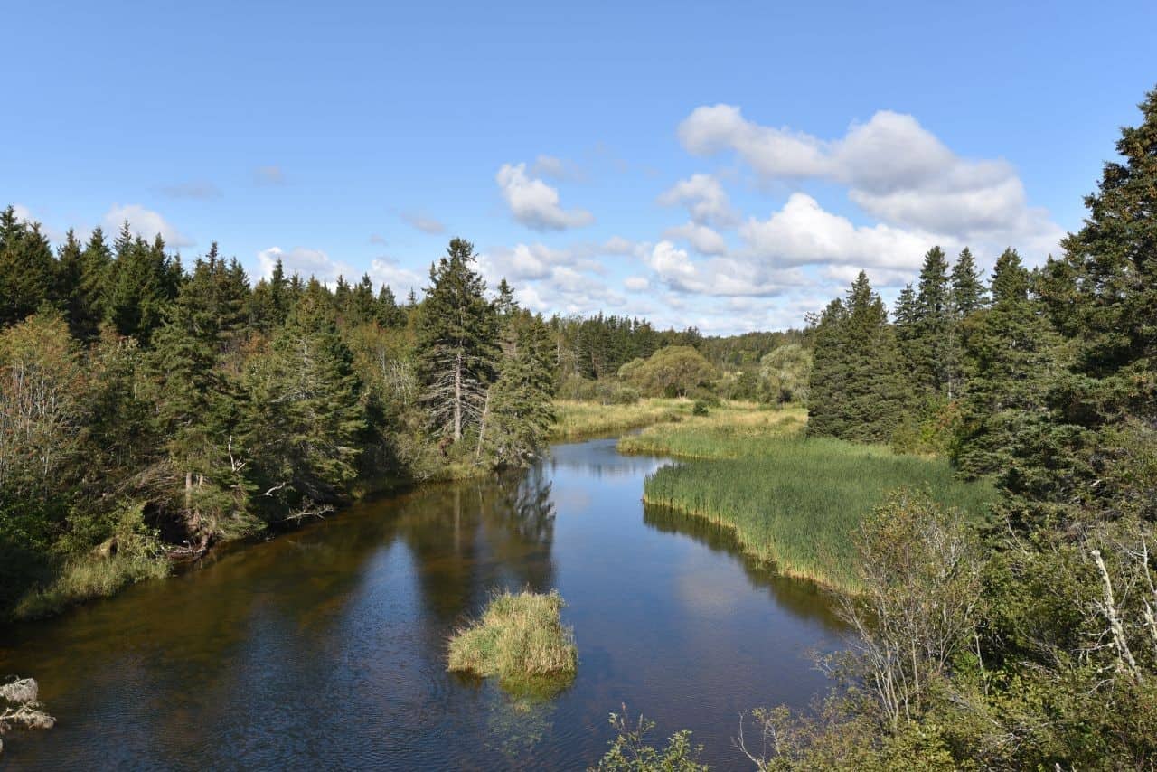 The wide, flat Confederation Trail crosses all three of Prince Edward Island's major rivers, as well as countless wetlands as it traverses the island.