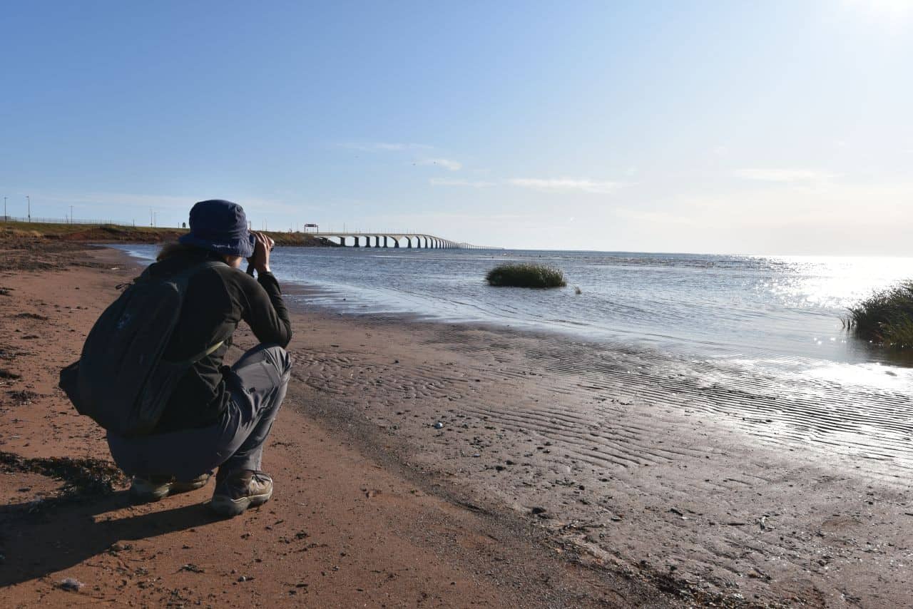 Red sandy beaches, stunning seascapes, and epic views of the iconic Confederation Bridge are all features of the Trans Canada Trail in Prince Edward Island Canada.