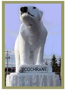 Polar Bear - Cochrane, Ontario, Canada