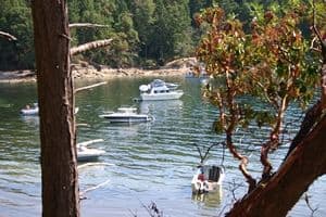 Sailing Thetis Island