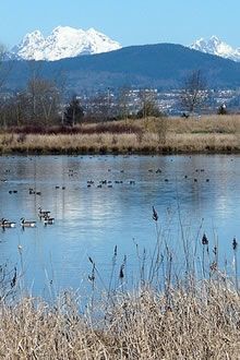 Willband Creek Park