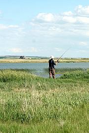 fishing20090626_50012