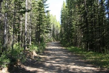 trail20090702_36