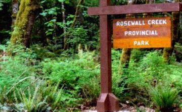 rosewell