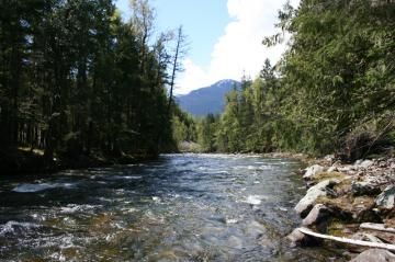 nakusp-rosebery-parkcreek