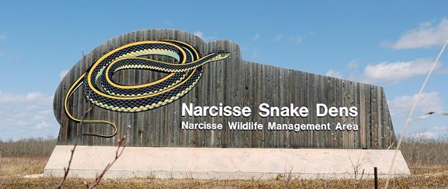 Narcisse-Snake-Den
