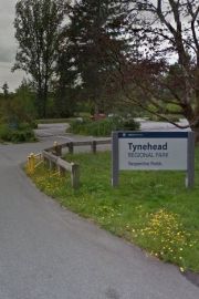 tynehead-regional-park-2