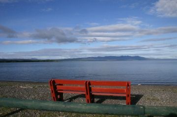 cottonwood_viewing_bench