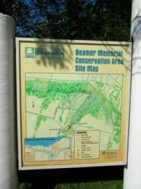 beamer-memorial-conservation