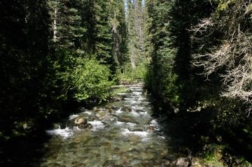 babine-river_and_bridge01