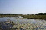 laura_howe_marsh_dryden_ontario_70