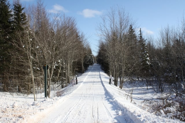 confederation-trail-winter-snow20120221_0048