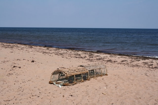 beach-traps20100901_60