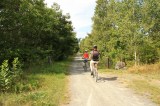 gibson-trail-biking20100816_78
