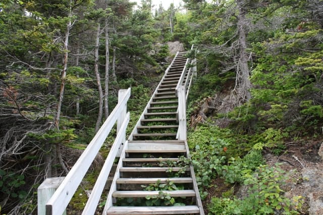 tower-trail-steps20110813_05