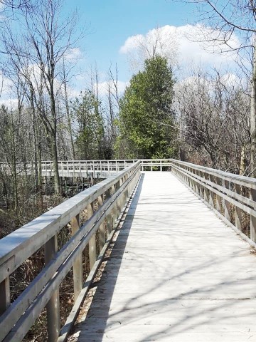 stroll-along-one-of-huron-natural-areas-accesible-boardwalks