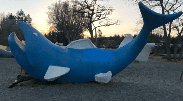 big-blue-salmon-climbing-sculpture-at-cadboro-bay-gyro-park-saanich-bc