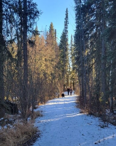 winter-hiking-on-the-aremada-trail-at-crimson-lake-provincial-park