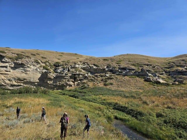 alberta-parks-guided-hikes