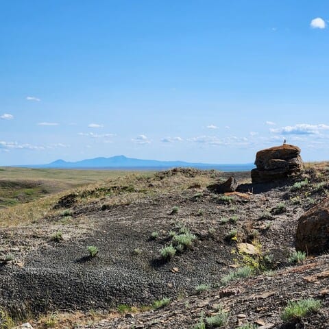 prairie-views-southern-alberta-canada