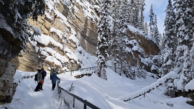 johnston-canyon-trail-in-the-winter