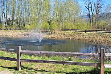 natural-pond-lumbys-salmon-river-trail