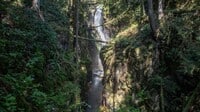 cypress-waterfalls